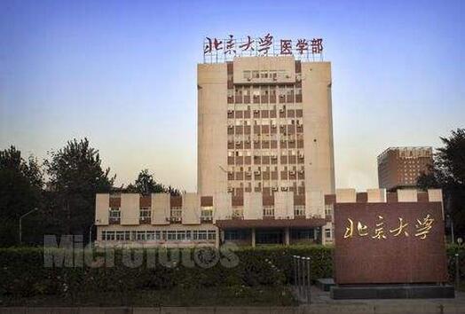 北京大学医学部
